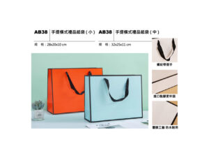 AB38 手提橫式禮品紙袋