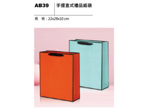 AB39 手提直式禮品紙袋